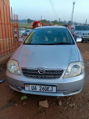 Toyota Allex 2008 Silver