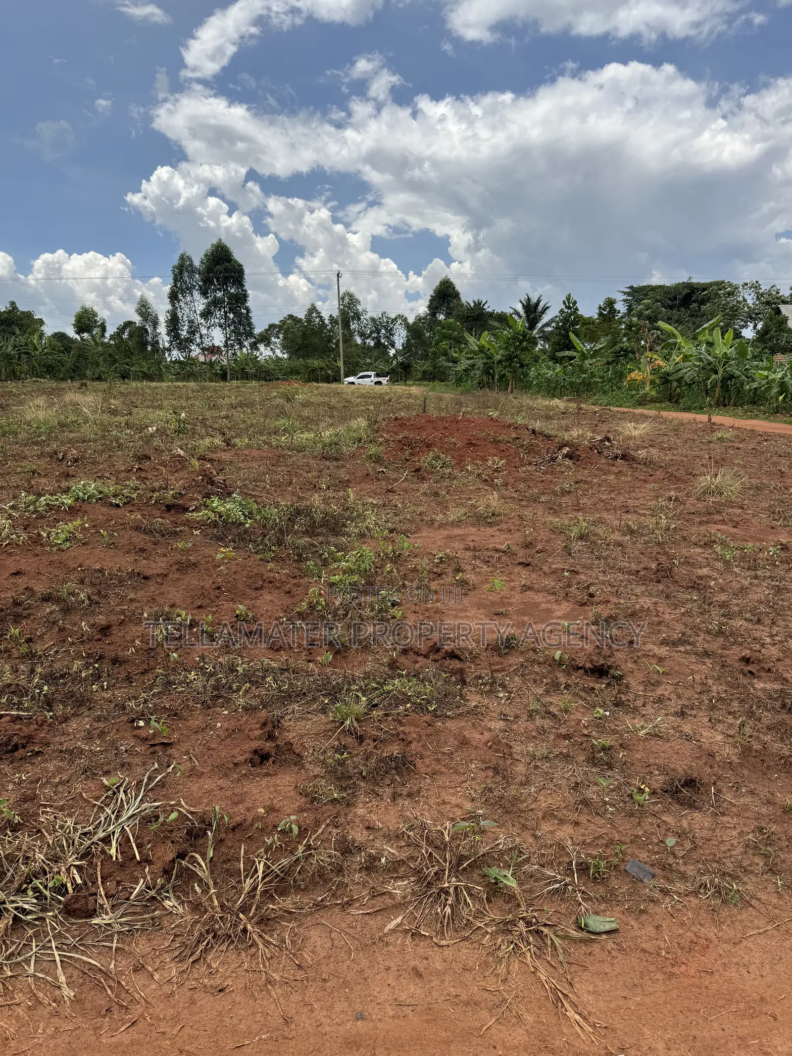 50*50ft and 50*100ft Plots With Maize and Kalitunsi for Sale