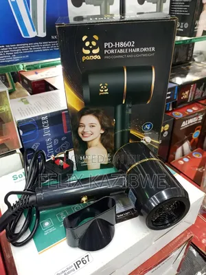 Panda Pd-H8602 Hair Dryer