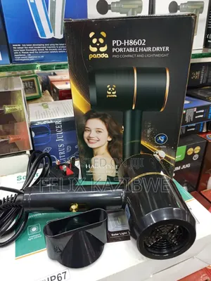 Panda Pd-H8602 Hair Dryer