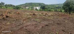 Plots for Quick Sale at Namayumba