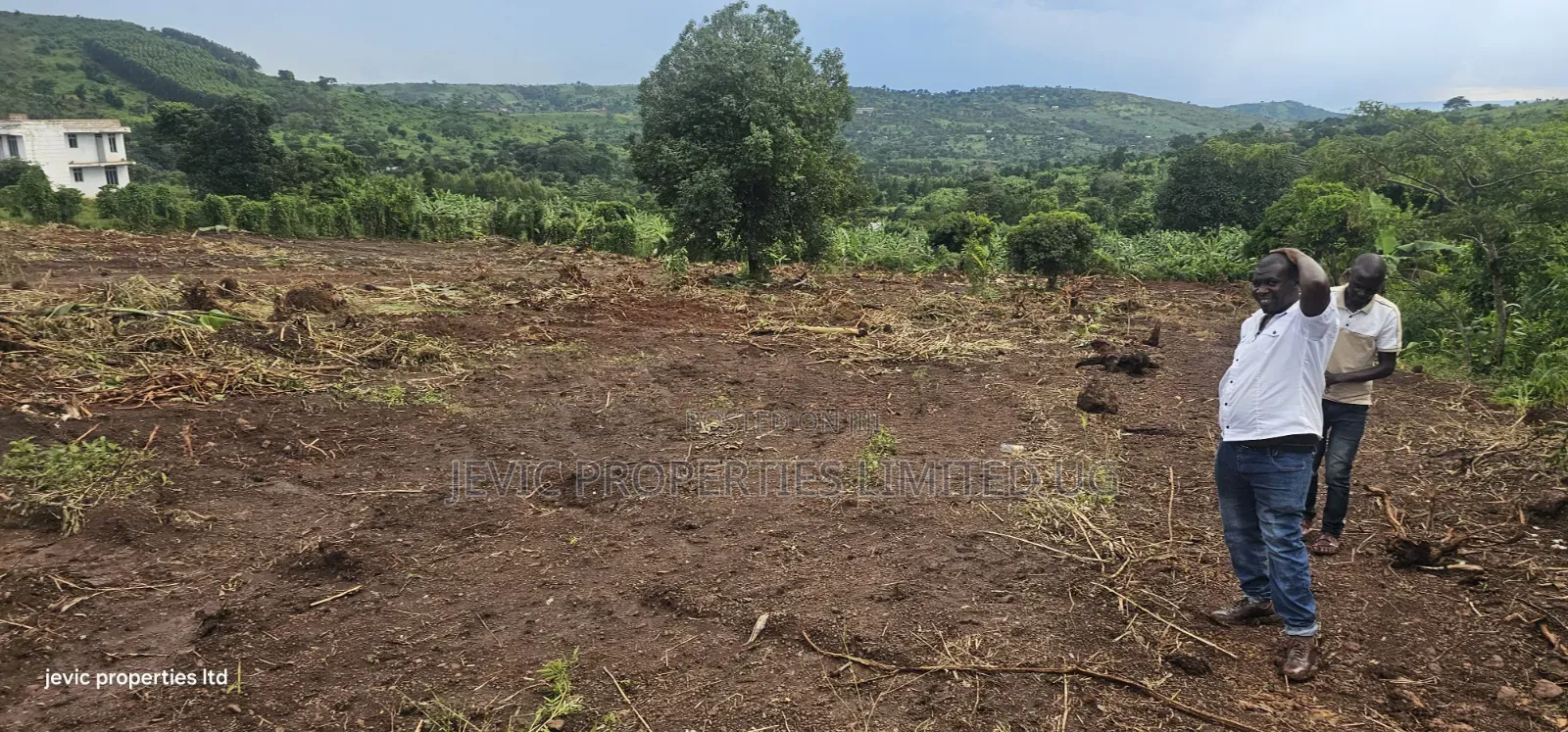 Plots for Quick Sale at Namayumba