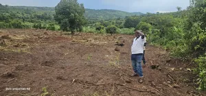 Plots for Quick Sale at Namayumba