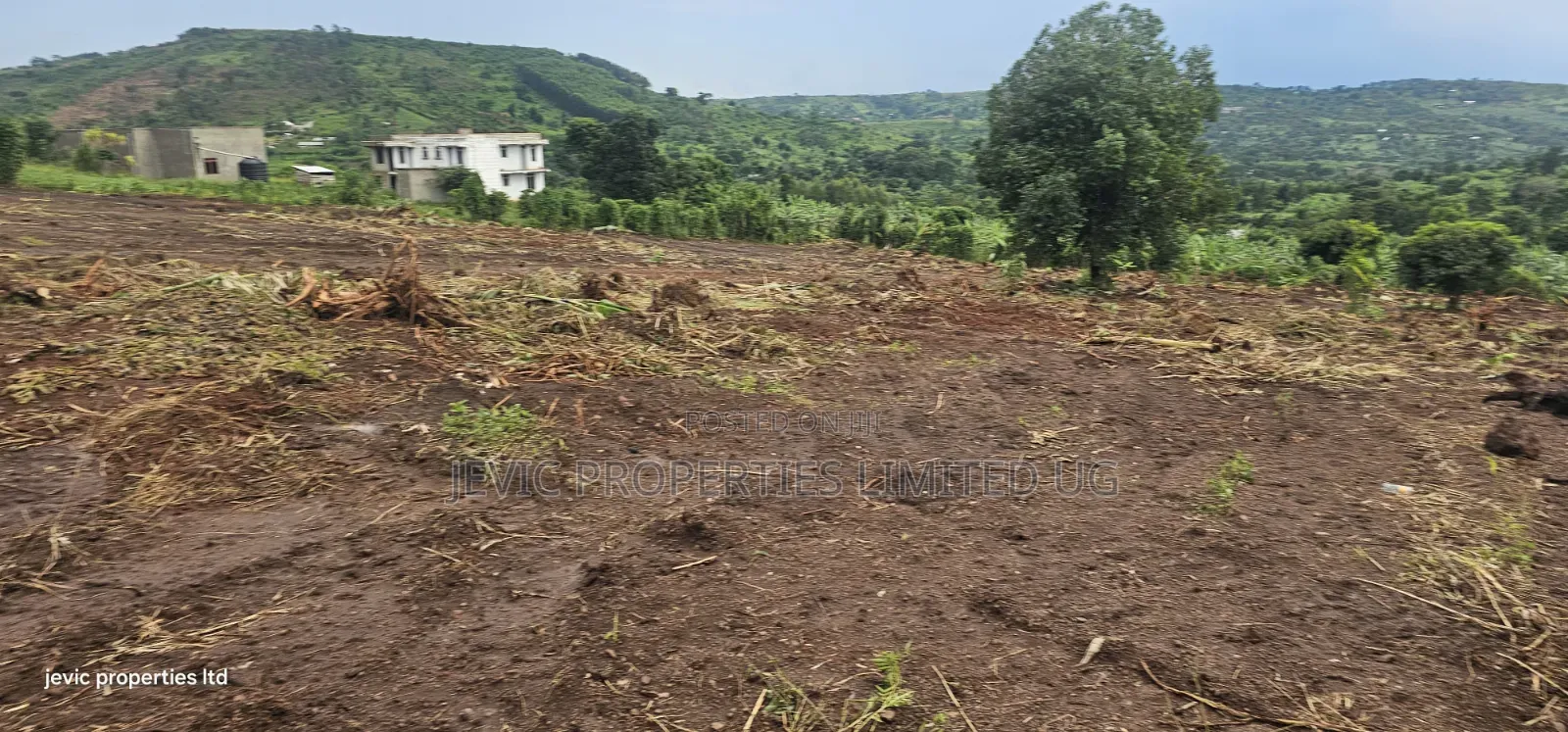 Plots for Sale 50x100 Titled, Just Give Away