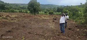 Plots for Sale 50x100 Titled, Just Give Away