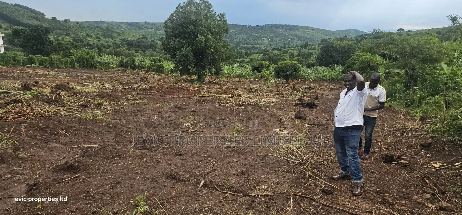 Plots for Sale 50x100 Titled, Just Give Away