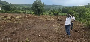 Plots for Sale 50x100 Titled, Just Give Away