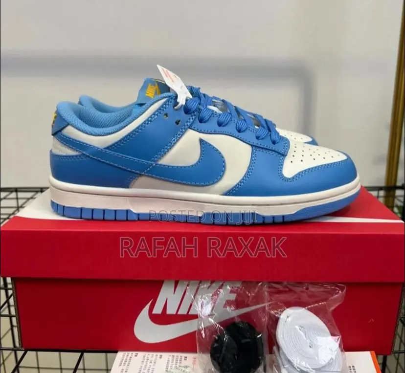Blue Version of Nike Dunk Low Retro Sneakers