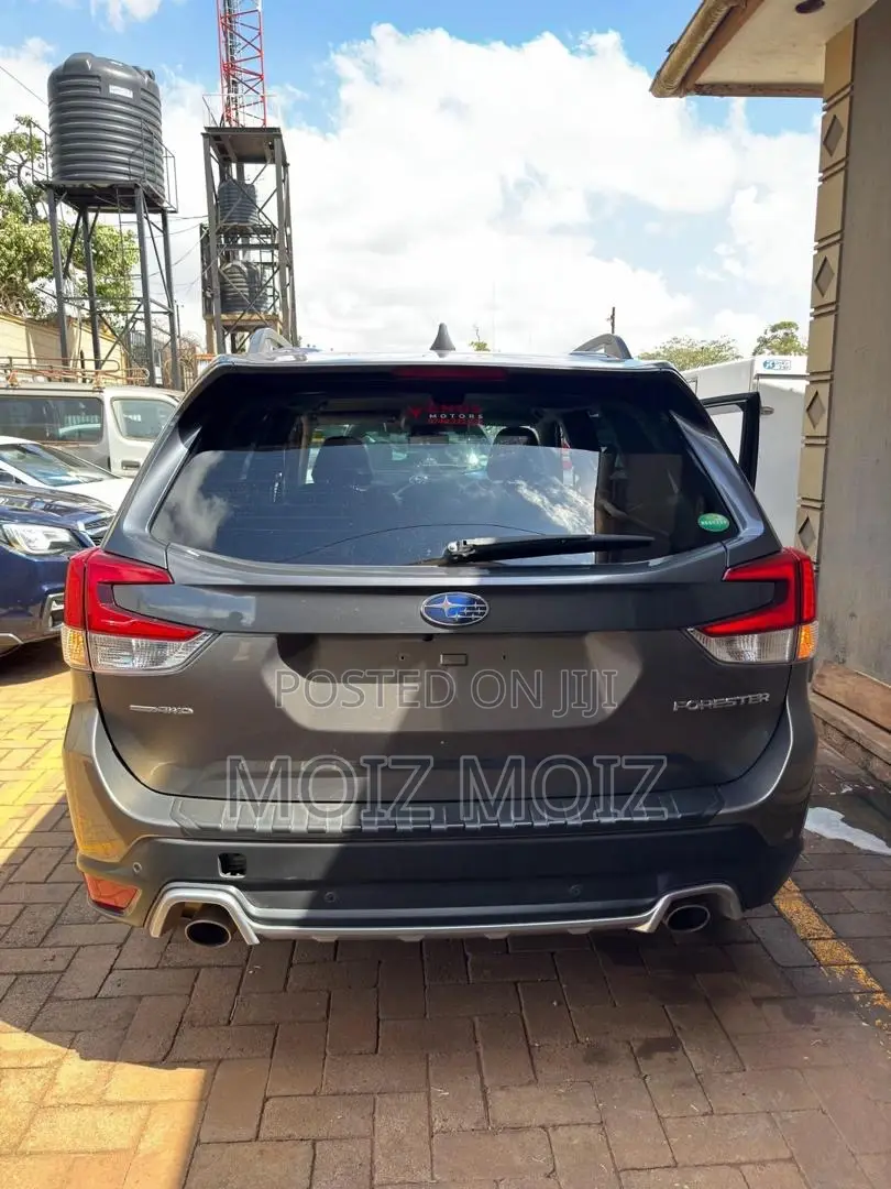 Subaru Forester 2023 Gray