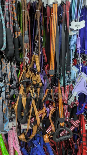 Dog Chain/ Belts