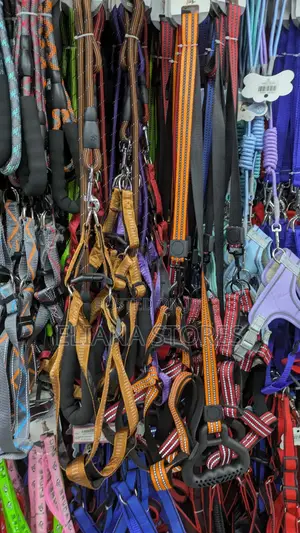 Dog Chain/ Belts