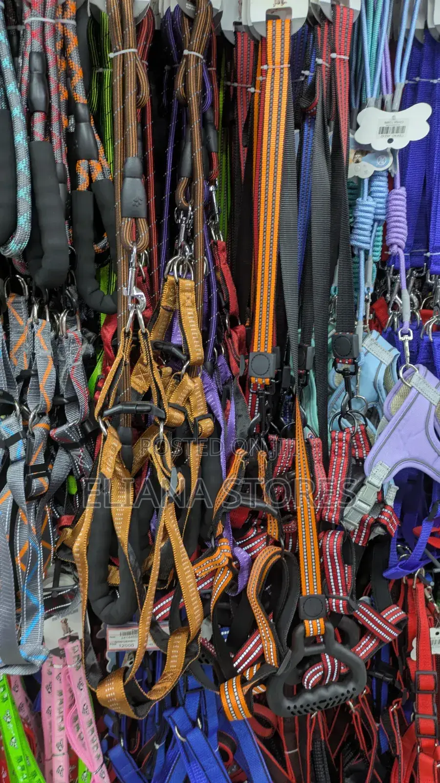 Dog Chain/ Belts