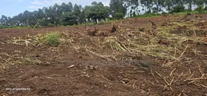 Titled Plots for Sale at Wakiso Namayumba