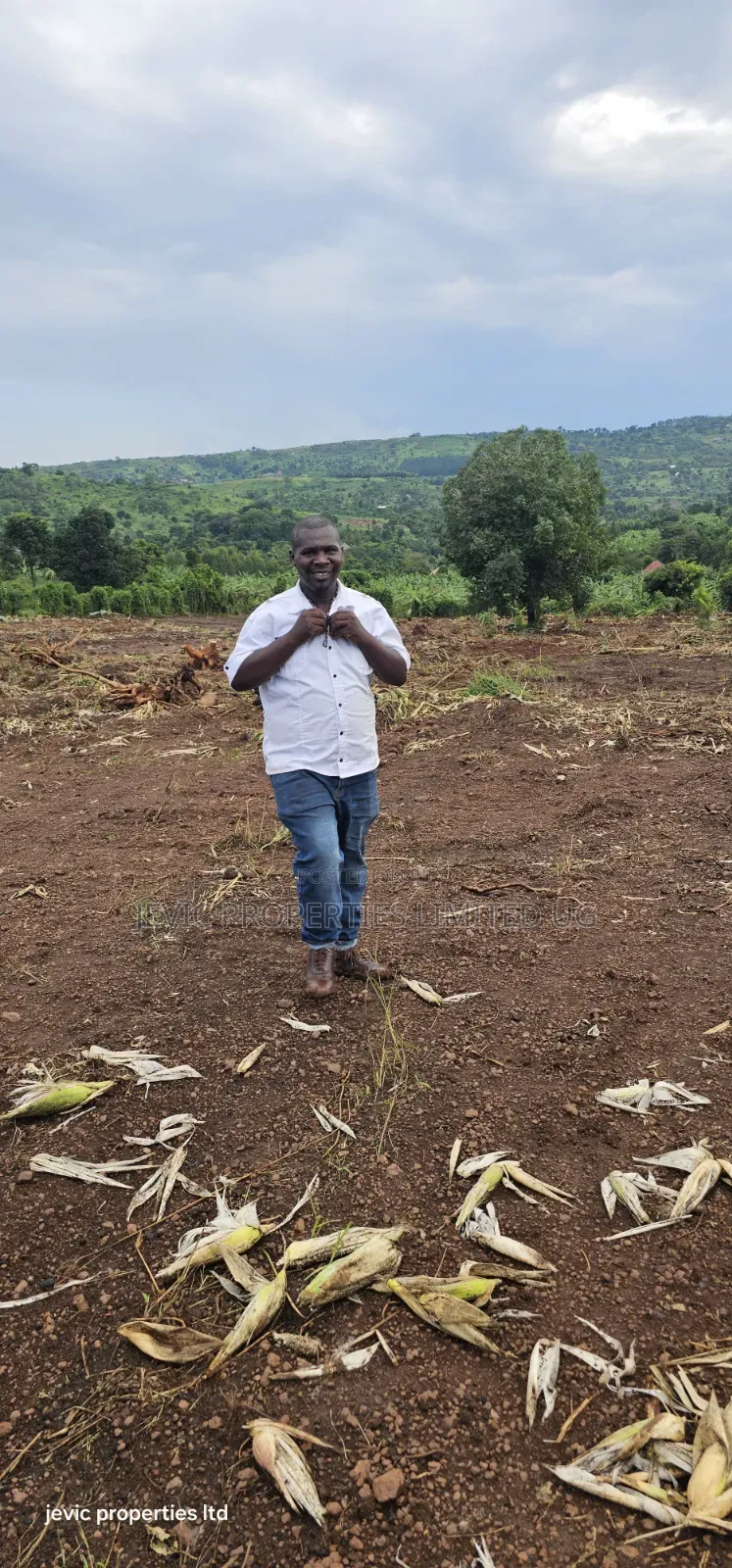 Titled Plots for Sale at Wakiso Namayumba