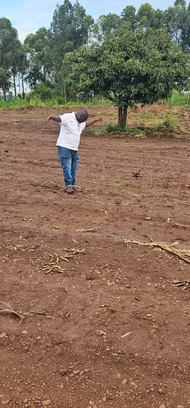 Titled Plots for Sale at Wakiso Namayumba
