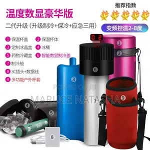 Outdoor Insulin Refrigerator Bottles