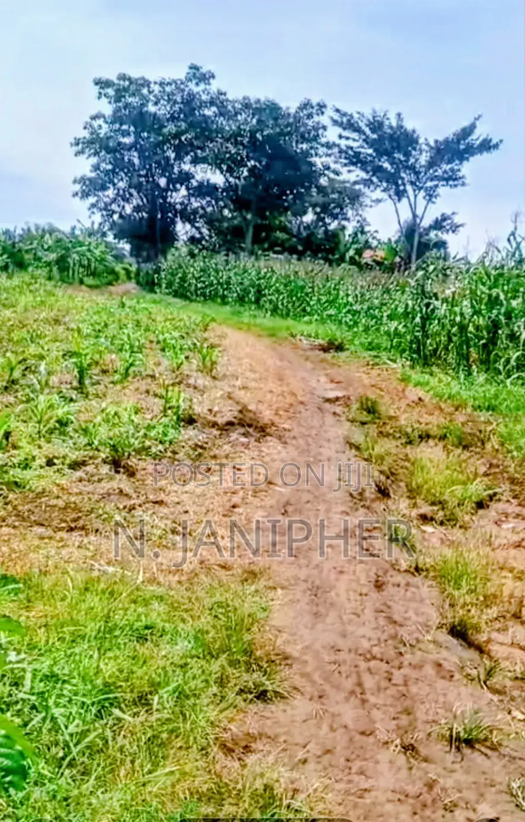 Land for Sale Bombo-Kalule 3km From Off-Road 4 Acres 40m Per Acre.