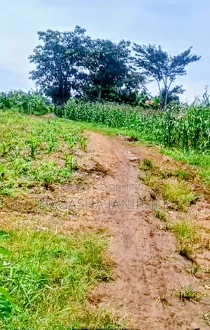 Land for Sale Bombo-Kalule 3km From Off-Road 4 Acres 40m Per Acre.