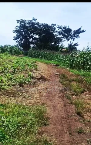 Land for Sale Bombo-Kalule 3km From Off-Road 4 Acres 40m Per Acre.