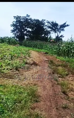 Land for Sale Bombo-Kalule 3km From Off-Road 4 Acres 40m Per Acre.