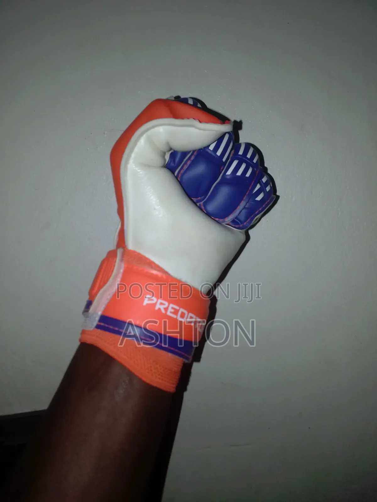 Predator Goalkeeper Gloves