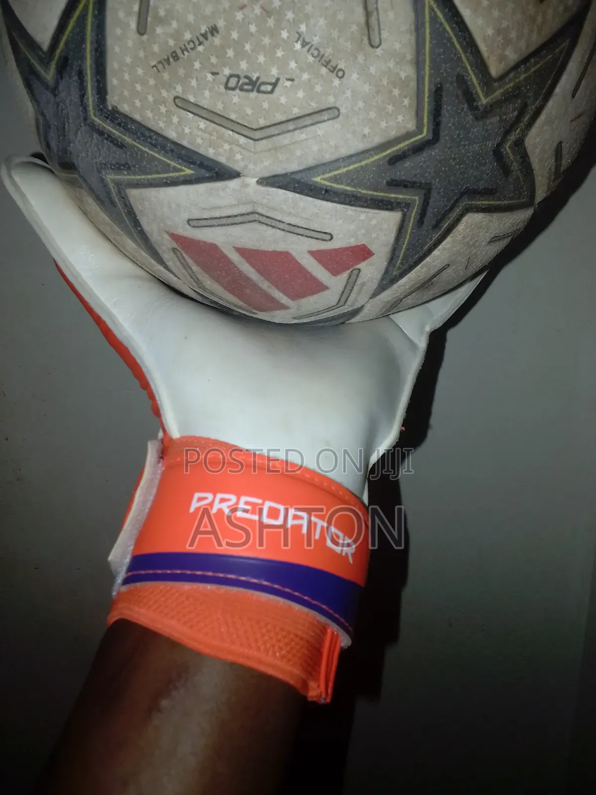 Predator Goalkeeper Gloves