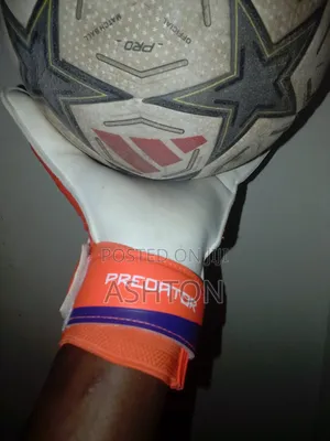 Predator Goalkeeper Gloves