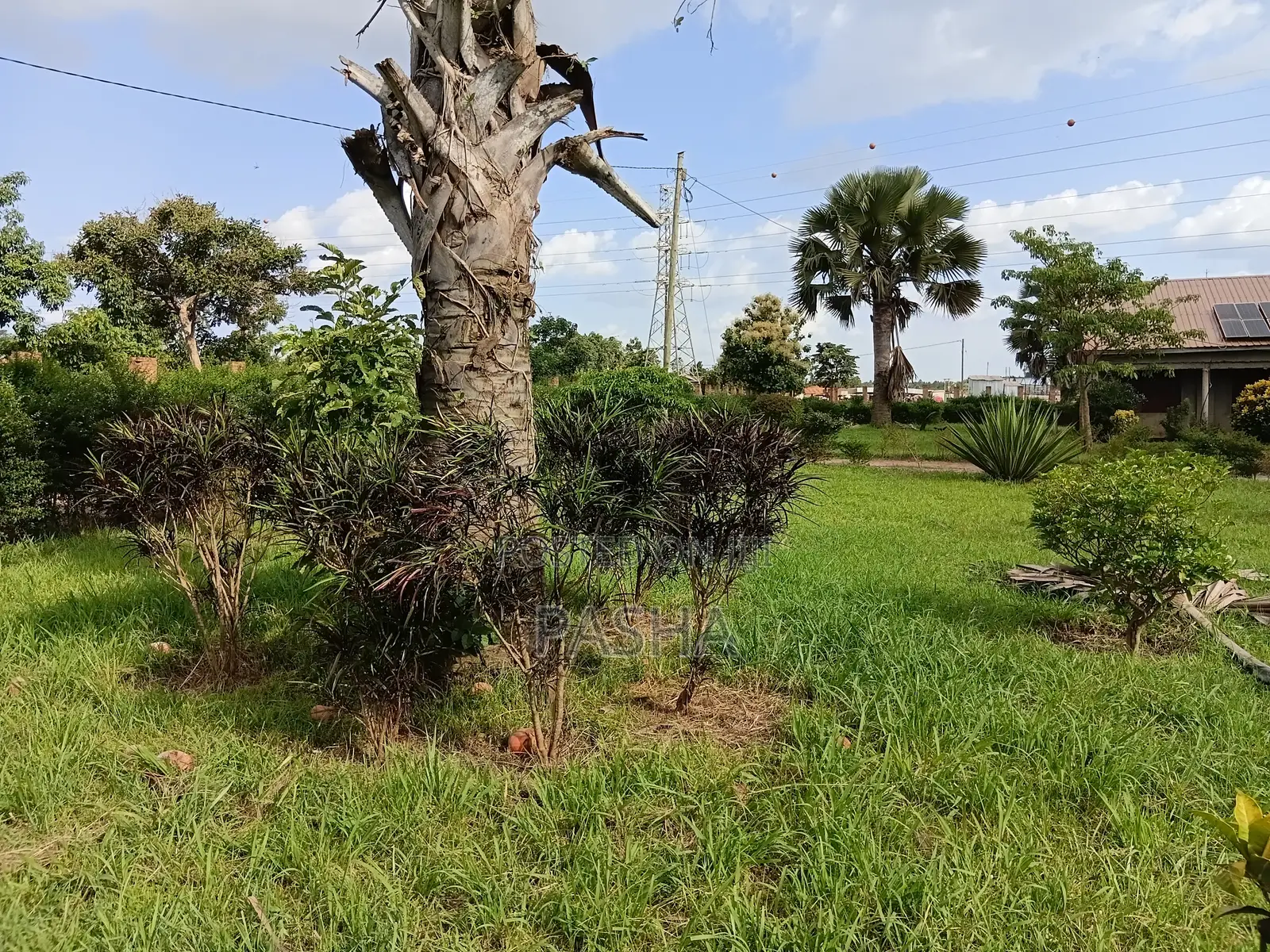 Events Grounds for Hire in Lira