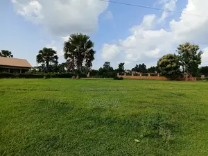 Events Grounds for Hire in Lira