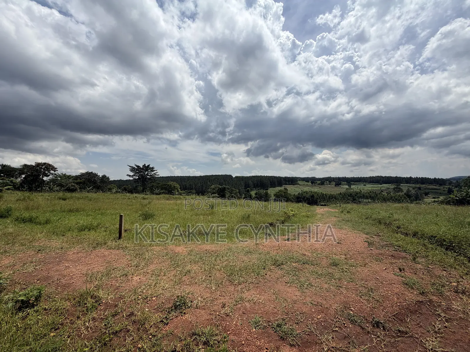 50by100ft Residential Plots for Sale in Namulonge Gayaza. Ready Titles
