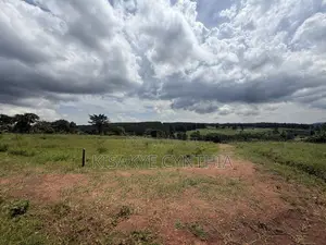 50by100ft Residential Plots for Sale in Namulonge Gayaza. Ready Titles