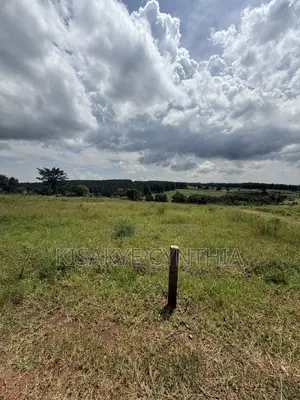 50by100ft Residential Plots for Sale in Namulonge Gayaza. Ready Titles