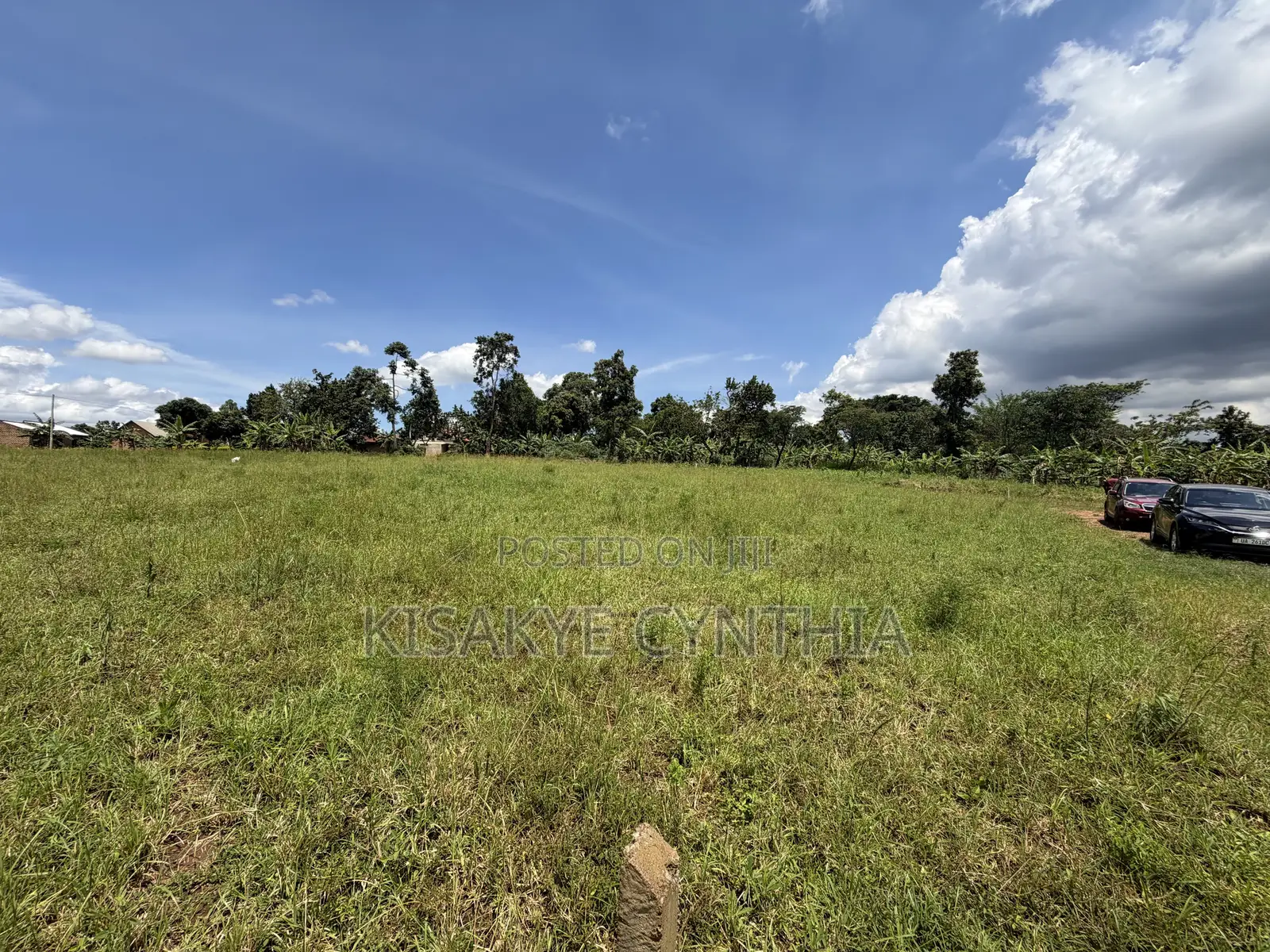 50by100ft Residential Plots for Sale in Namulonge Gayaza. Ready Titles
