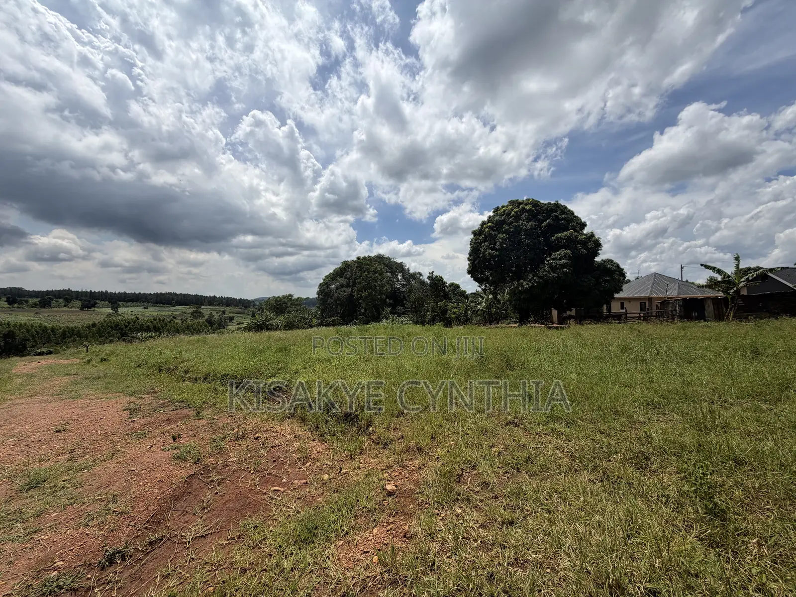 50by100ft Residential Plots for Sale in Namulonge Gayaza. Ready Titles