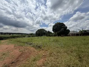 50by100ft Residential Plots for Sale in Namulonge Gayaza. Ready Titles