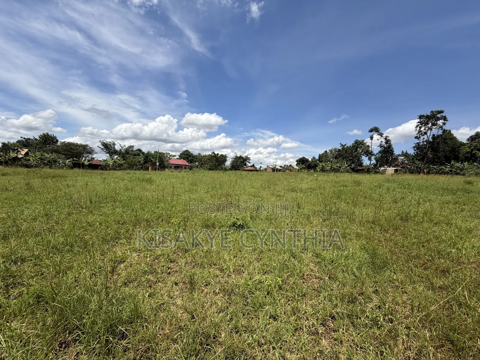 50by100ft Residential Plots for Sale in Namulonge Gayaza. Ready Titles