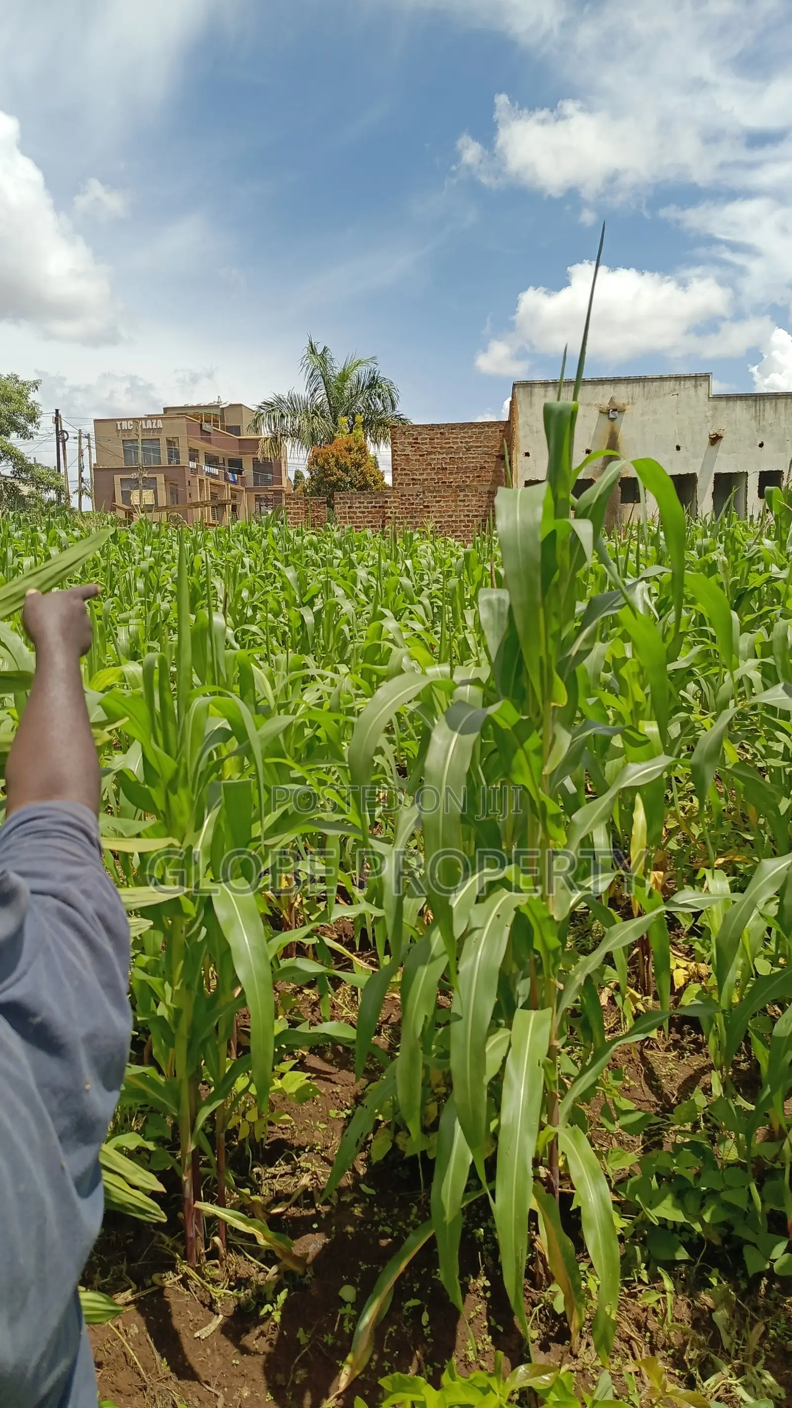 Commercial Plot for Sale in Bweyogerere, 100x100
