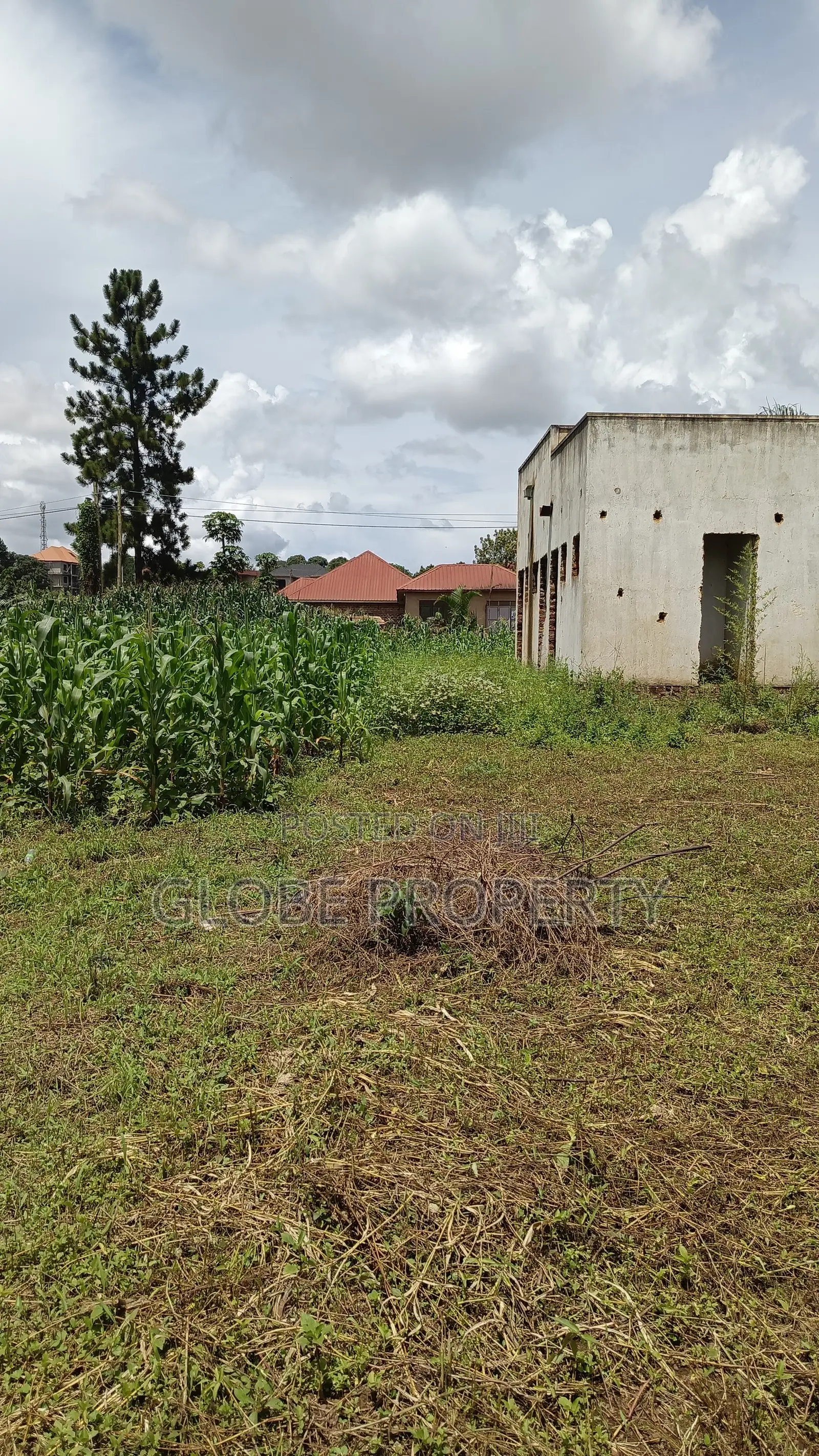 Commercial Plot for Sale in Bweyogerere, 100x100
