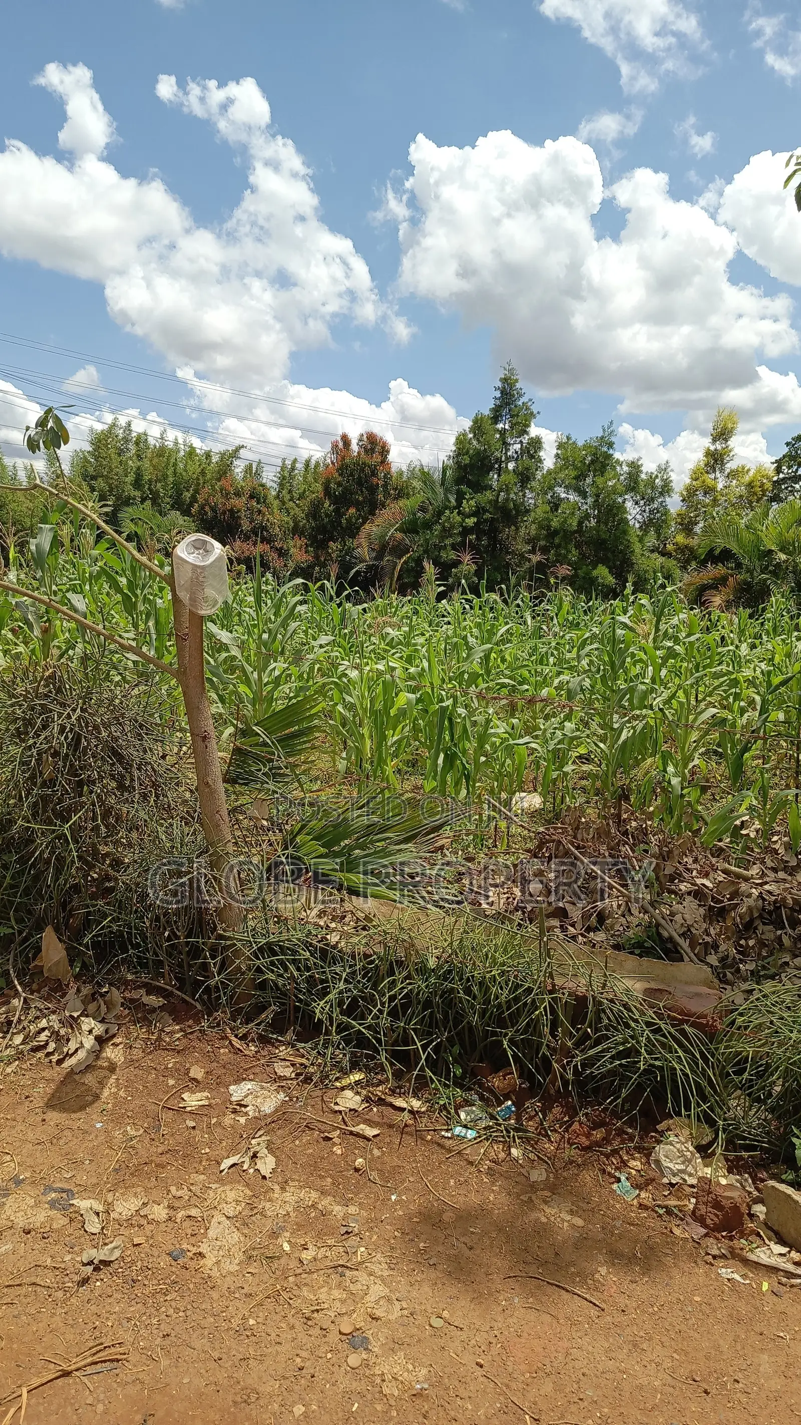 50x100 Plots for Sale at Buto Bweyogerere