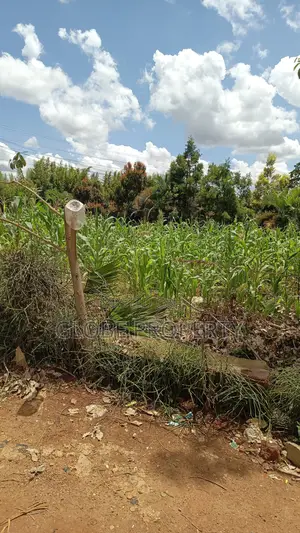 50x100 Plots for Sale at Buto Bweyogerere