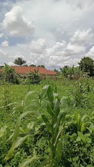 50x100 Plots for Sale at Buto Bweyogerere