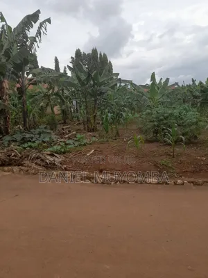50 Decimals at Kisaasi, Ddungu Zone