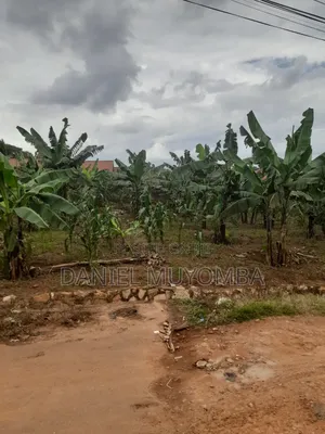 50 Decimals at Kisaasi, Ddungu Zone