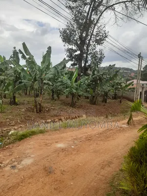 50 Decimals at Kisaasi, Ddungu Zone