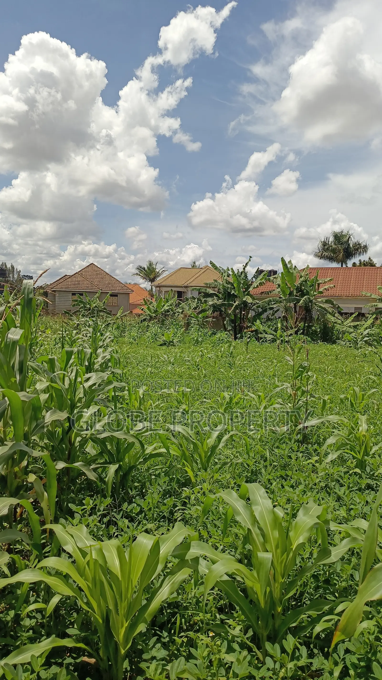1acre Piece of Land for Sale in Bweyogerere.