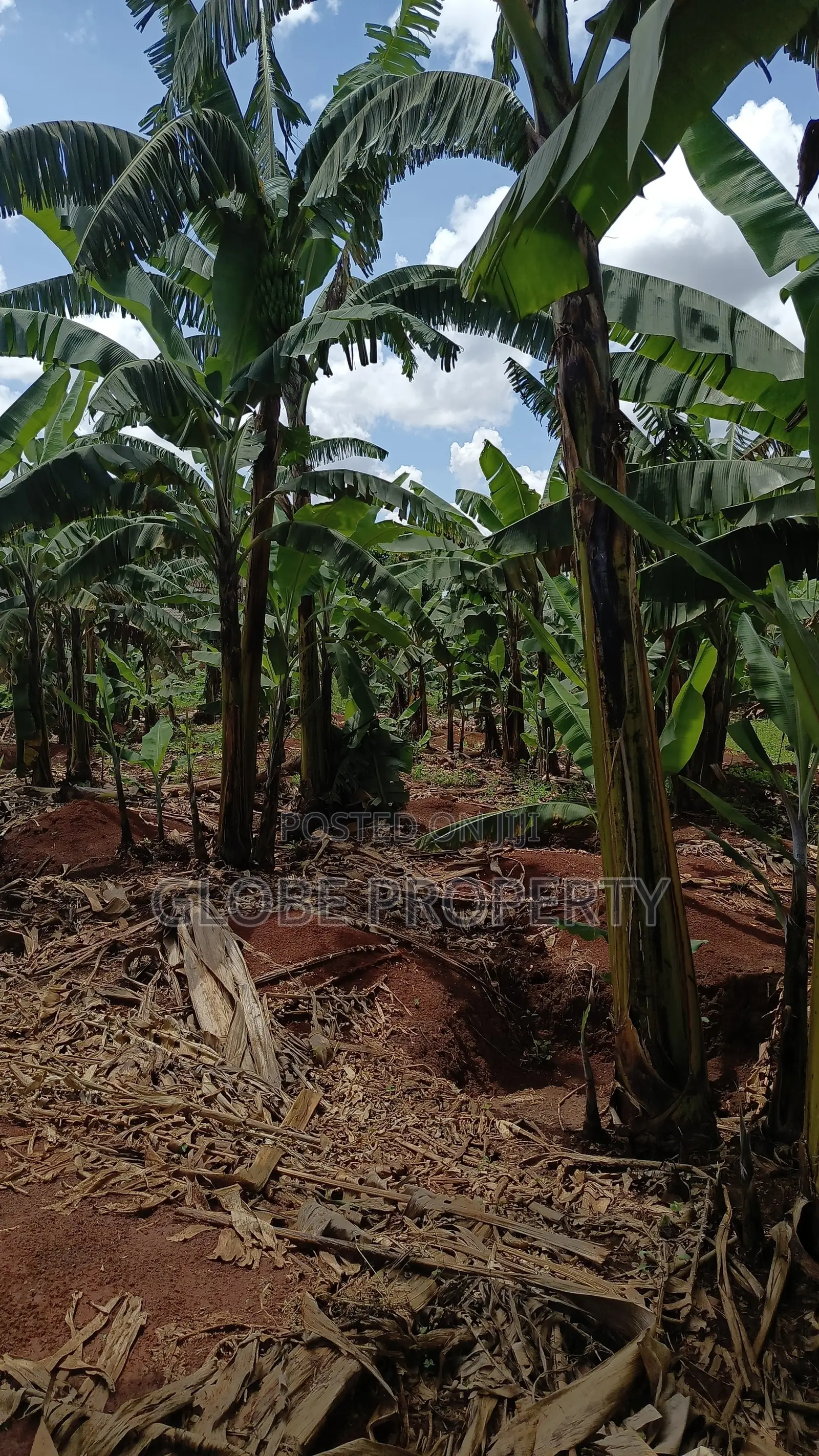 1acre Piece of Land for Sale in Bweyogerere.