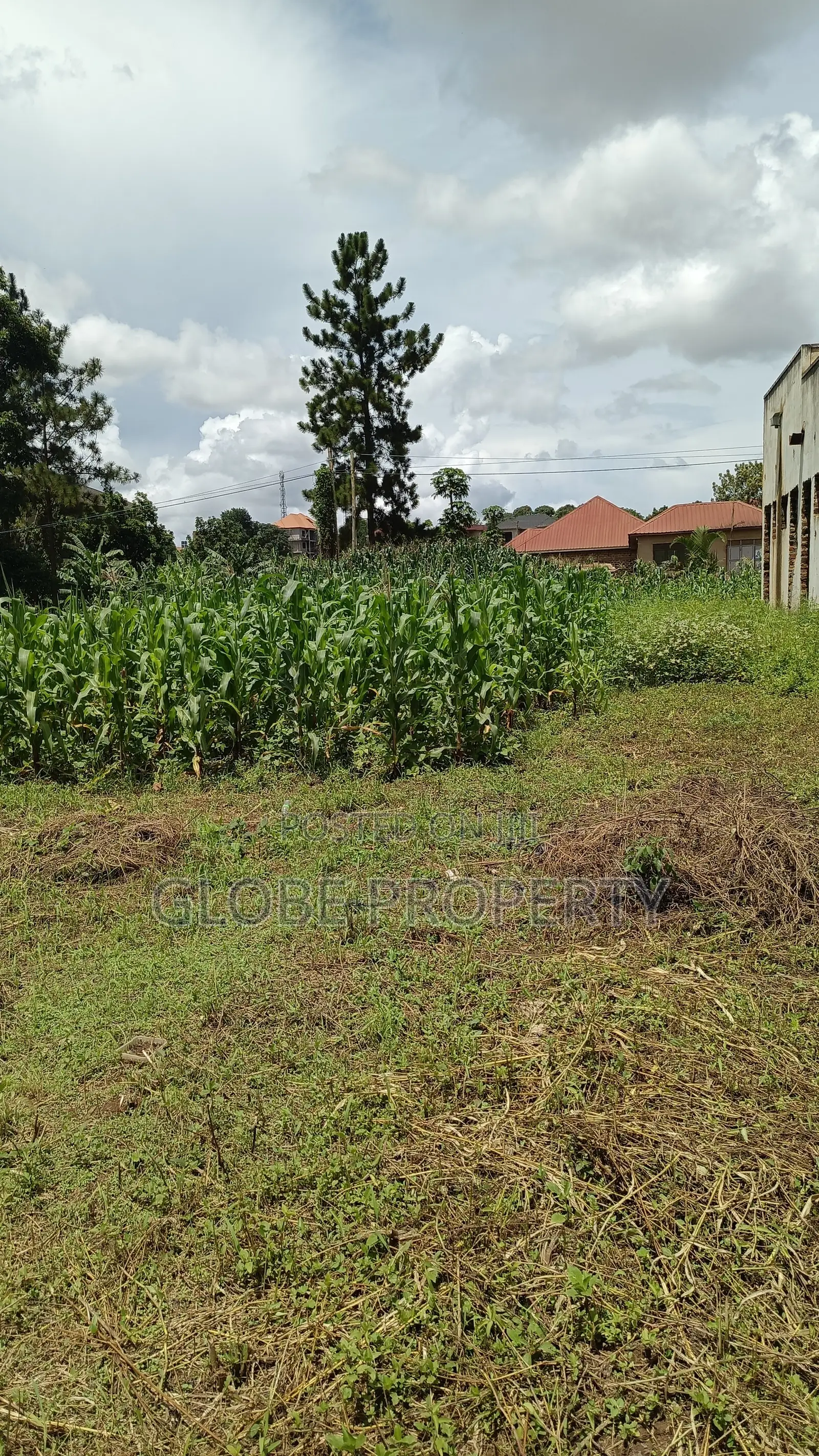 1acre Piece of Land for Sale in Bweyogerere.