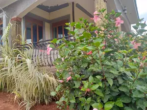 5bdrm Bungalow in Mbale for sale