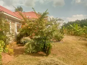 5bdrm Bungalow in Mbale for sale