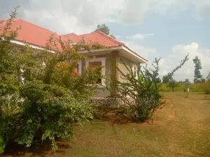 5bdrm Bungalow in Mbale for sale